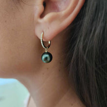 Load image into Gallery viewer, READY TO SHIP Civa Fiji Graded Pearl Earrings - 14k Solid Gold FJD$