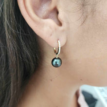 Load image into Gallery viewer, READY TO SHIP Civa Fiji Graded Pearl Earrings - 14k Solid Gold FJD$