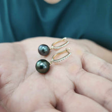 Load image into Gallery viewer, READY TO SHIP Civa Fiji Graded Pearl Earrings - 14k Solid Gold FJD$