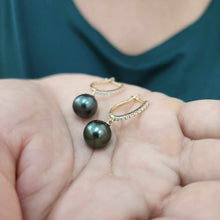 Load image into Gallery viewer, READY TO SHIP Civa Fiji Graded Pearl Earrings - 14k Solid Gold FJD$