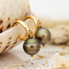 Load image into Gallery viewer, CONTACT US TO RECREATE THIS SOLD OUT STYLE Civa Fiji Saltwater Pearl Huggie Earrings - 14k Gold Fill FJD$