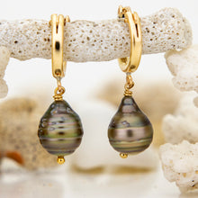 Load image into Gallery viewer, CONTACT US TO RECREATE THIS SOLD OUT STYLE Civa Fiji Saltwater Pearl Huggie Earrings - 14k Gold Fill FJD$