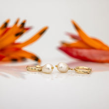 Load image into Gallery viewer, READY TO SHIP Freshwater Pearl Huggie Earrings - 14k Gold Fill FJD$