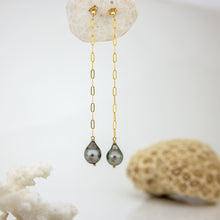 Load image into Gallery viewer, CONTACT US TO RECREATE THIS SOLD OUT STYLE Civa Fiji Saltwater Pearl Stud Earrings with Chain Detail - 14k Gold Fill FJD$
