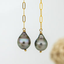 Load image into Gallery viewer, CONTACT US TO RECREATE THIS SOLD OUT STYLE Civa Fiji Saltwater Pearl Stud Earrings with Chain Detail - 14k Gold Fill FJD$