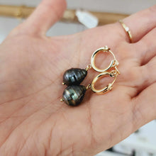 Load image into Gallery viewer, CONTACT US TO RECREATE THIS SOLD OUT STYLE Civa Fiji Saltwater Pearl Huggie Earrings - 14k Gold Fill FJD$