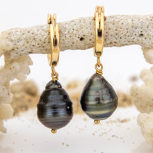 Load image into Gallery viewer, CONTACT US TO RECREATE THIS SOLD OUT STYLE Civa Fiji Saltwater Pearl Huggie Earrings - 14k Gold Fill FJD$