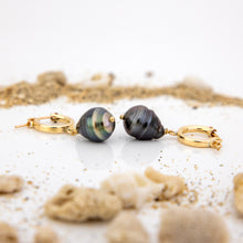Load image into Gallery viewer, CONTACT US TO RECREATE THIS SOLD OUT STYLE Civa Fiji Saltwater Pearl Huggie Earrings - 14k Gold Fill FJD$