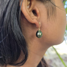 Load image into Gallery viewer, READY TO SHIP Civa Fiji Pearl Stud Earrings - 14k Gold Fill FJD$