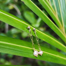 Load image into Gallery viewer, READY TO SHIP - Freshwater Pearl Stud Earrings with Chain Detail - 14k Gold Fill FJD$