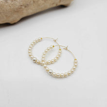 Load image into Gallery viewer, READY TO SHIP Freshwater Pearl Hoop Earrings - 14k Gold Fill FJD$
