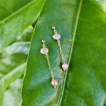 Load image into Gallery viewer, READY TO SHIP - Freshwater Pearl Stud Earrings with Chain Detail - 14k Gold Fill FJD$