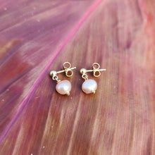 Load image into Gallery viewer, READY TO SHIP - Freshwater Pearl Stud Earrings - 14k Gold Fill FJD$