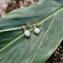 Load image into Gallery viewer, READY TO SHIP Freshwater Pearl Stud Earrings - 14k Gold Fill FJD$