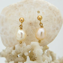 Load image into Gallery viewer, READY TO SHIP Freshwater Pearl Stud Earrings - 14k Gold Fill FJD$