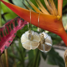 Load image into Gallery viewer, READY TO SHIP Hibiscus Oyster Shell Hoop Earrings - 14k Gold Filled FJD$