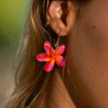 Load image into Gallery viewer, READY TO SHIP Frangipani Flower Resin Hoop Earrings - 14k Gold Fill FJD$