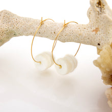 Load image into Gallery viewer, READY TO SHIP Shell Money Earrings - 14k Gold Fill FJD$