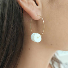 Load image into Gallery viewer, READY TO SHIP Shell Money Earrings - 14k Gold Fill FJD$