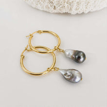 Load image into Gallery viewer, Civa Fiji Pearl Hoop Earrings - Gold Plated FJD$