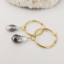 Load image into Gallery viewer, Civa Fiji Pearl Hoop Earrings - Gold Plated FJD$