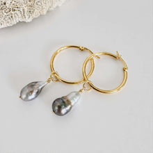 Load image into Gallery viewer, Civa Fiji Pearl Hoop Earrings - Gold Plated FJD$