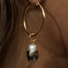 Load image into Gallery viewer, Civa Fiji Pearl Hoop Earrings - Gold Plated FJD$
