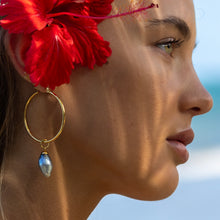 Load image into Gallery viewer, Civa Fiji Pearl Hoop Earrings - Gold Plated FJD$