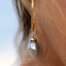 Load image into Gallery viewer, Civa Fiji Pearl Hoop Earrings - Gold Plated FJD$