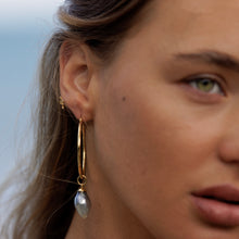 Load image into Gallery viewer, Civa Fiji Pearl Hoop Earrings - Gold Plated FJD$