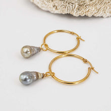 Load image into Gallery viewer, Civa Fiji Pearl Hoop Earrings - Gold Plated FJD$