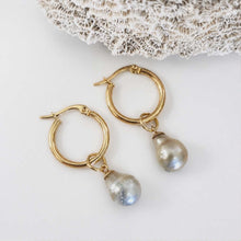 Load image into Gallery viewer, Civa Fiji Pearl Huggie Earrings - Gold Plated FJD$