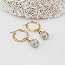 Load image into Gallery viewer, Civa Fiji Pearl Huggie Earrings - Gold Plated FJD$