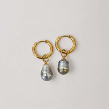 Load image into Gallery viewer, Civa Fiji Pearl Huggie Earrings - Gold Plated FJD$