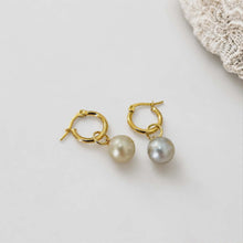 Load image into Gallery viewer, Civa Fiji Pearl Huggie Earrings - Gold Plated FJD$
