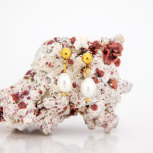 Load image into Gallery viewer, READY TO SHIP Freshwater Pearl Stud Earrings - Gold Plated FJD$