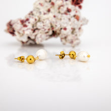 Load image into Gallery viewer, READY TO SHIP Freshwater Pearl Stud Earrings - Gold Plated FJD$
