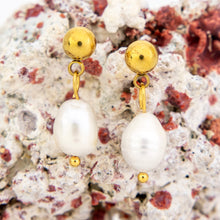 Load image into Gallery viewer, READY TO SHIP Freshwater Pearl Stud Earrings - Gold Plated FJD$