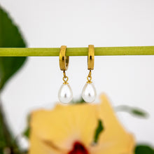Load image into Gallery viewer, READY TO SHIP Freshwater Pearl Hoop Earrings - Gold Plated FJD$