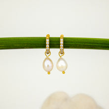 Load image into Gallery viewer, READY TO SHIP Freshwater Pearl Hoop Earrings - Gold Plated FJD$