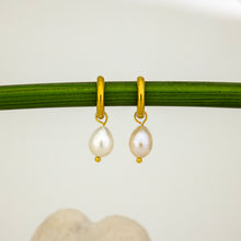 Load image into Gallery viewer, READY TO SHIP Freshwater Pearl Hoop Earrings - Gold Plated FJD$