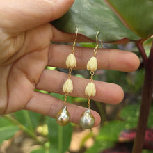 Load image into Gallery viewer, READY TO SHIP Civa Fiji Pearl Earrings with Pikake Flowers - 18k Gold Vermeil FJD$