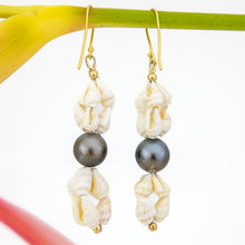 Load image into Gallery viewer, CONTACT US TO RECREATE THIS SOLD OUT STYLE Civa Fiji Pearl & Shell Earrings - 18k Gold Vermeil FJD$