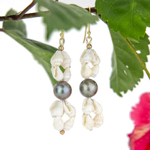 Load image into Gallery viewer, READY TO SHIP Civa Fiji Pearl & Shell Earrings - 18k Gold Vermeil FJD$