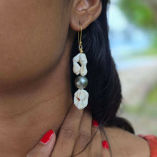 Load image into Gallery viewer, READY TO SHIP Civa Fiji Pearl & Shell Earrings - 18k Gold Vermeil FJD$