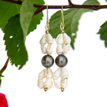 Load image into Gallery viewer, READY TO SHIP Civa Fiji Pearl & Shell Earrings - 18k Gold Vermeil FJD$