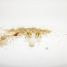 Load image into Gallery viewer, READY TO SHIP Mini Starfish Stud Earrings - 18k Gold Vermeil FJD$