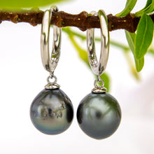 Load image into Gallery viewer, READY TO SHIP Fiji Pearl Huggie Earrings - 925 Sterling Silver FJD$