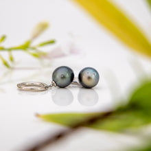 Load image into Gallery viewer, READY TO SHIP Fiji Pearl Huggie Earrings - 925 Sterling Silver FJD$