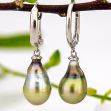 Load image into Gallery viewer, READY TO SHIP Civa Fiji Pearl Earrings - 925 Sterling Silver FJD$